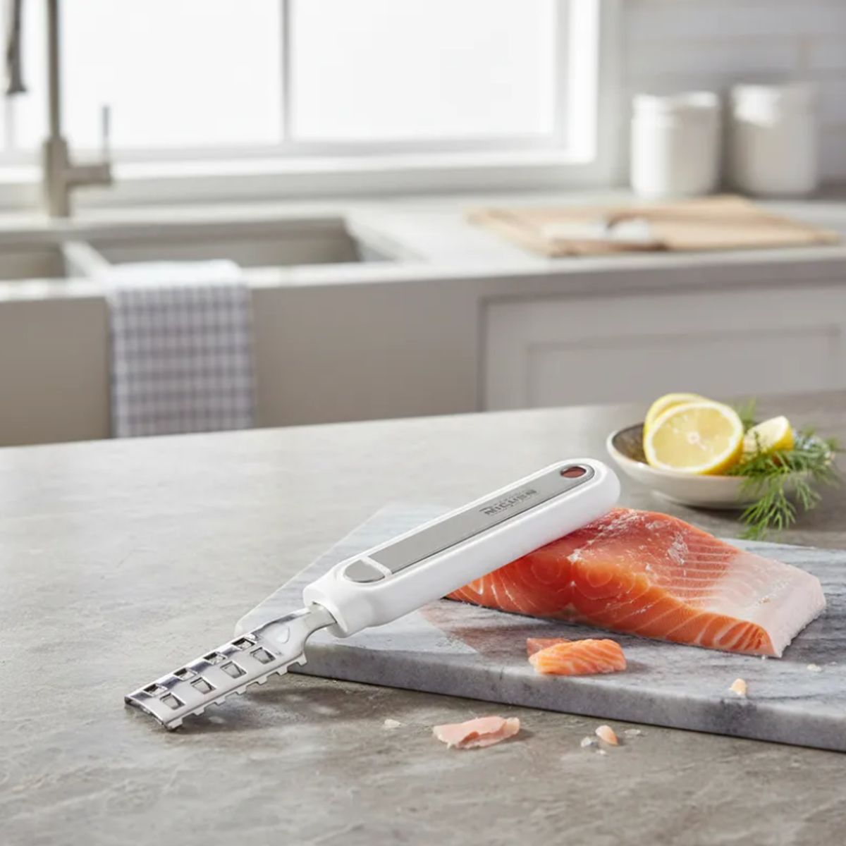 GENERICO - Desescamador de pescado acero inoxidable