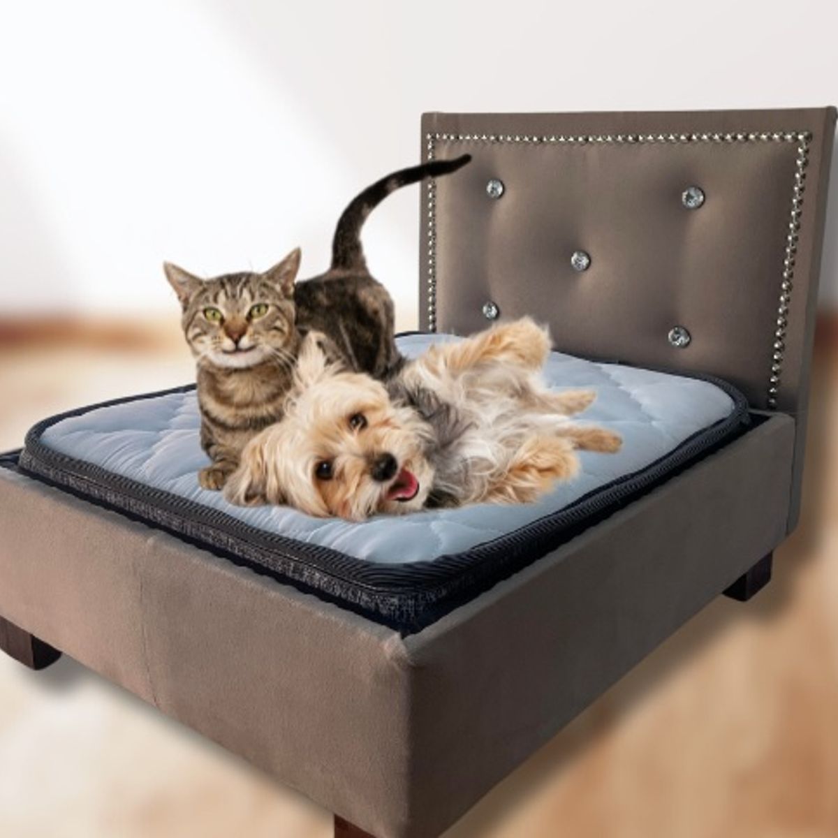 GENERICO - Cama Mascota 50x60