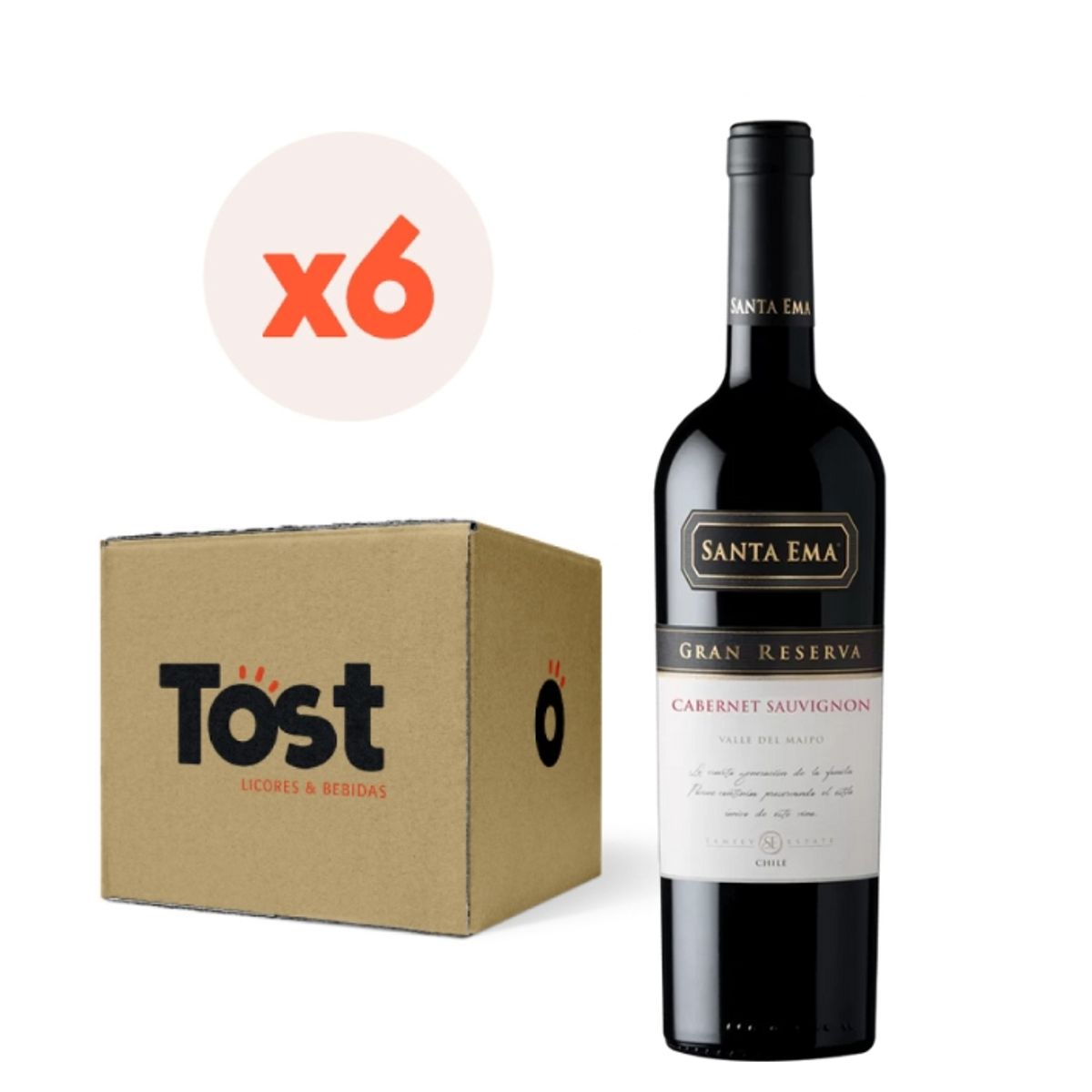 SANTA EMA - 6x Vino Santa Ema Gran Reserva Cabernet Sauvignon 14° 750cc