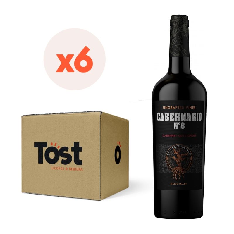 SANTA RITA - 6x Vino Santa Rita Cabernario Cabernet Sauvignon 14° 750cc