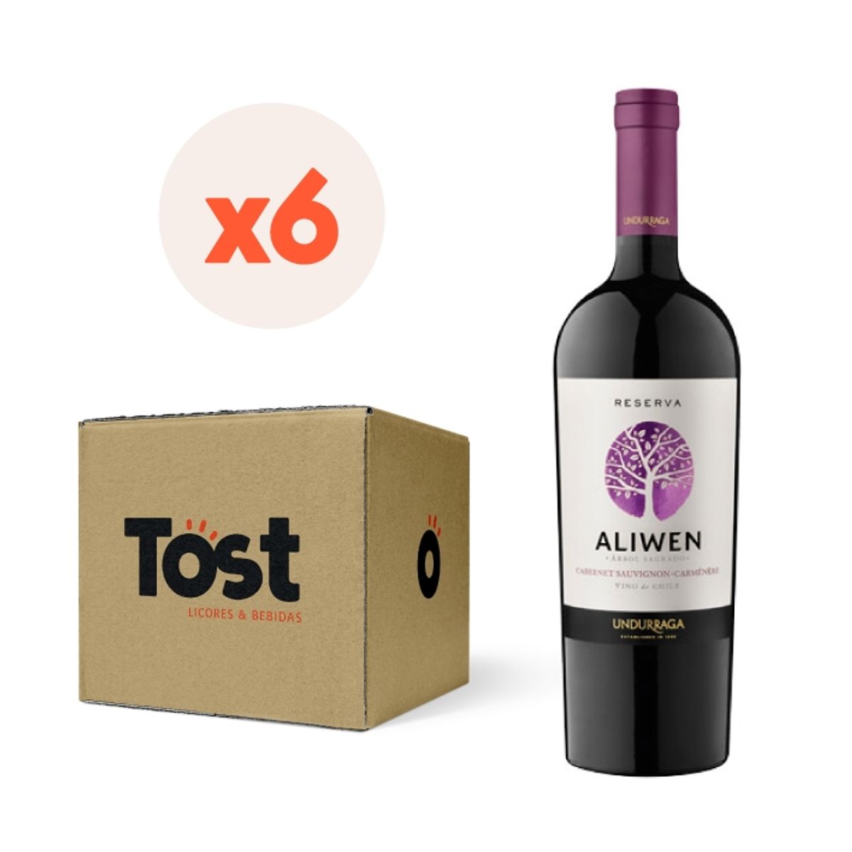 UNDURRAGA - 6x Vino Undurraga Aliwen Reserva Carmenere 14° 750cc