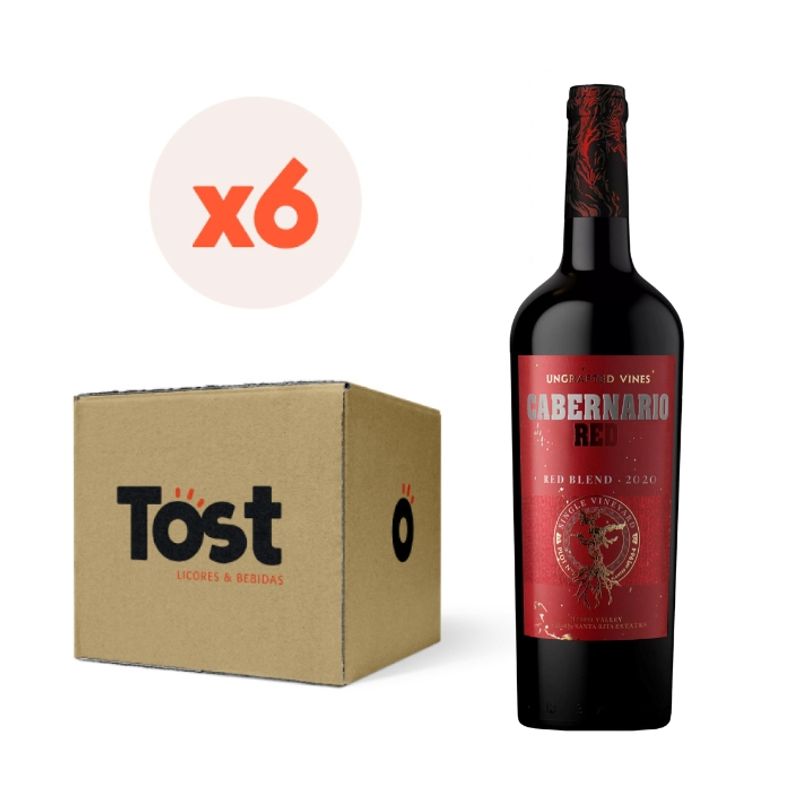 SANTA RITA - 6x Vino Santa Rita Cabernario Red Blend 13,5° 750cc