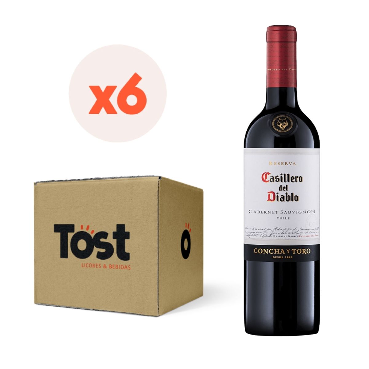 CASILLERO DEL DIABLO - 6x Vino Casillero Del Diablo Reserva Carmenere 13,5° 750cc