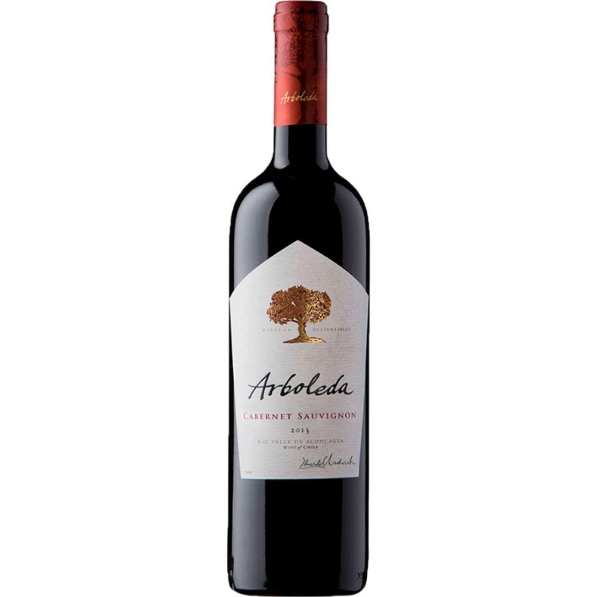 ARBOLEDAA - Vino Arboleda Cabernet Sauvignon 13,5° 750cc