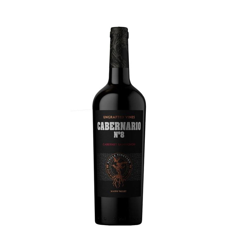 SANTA RITA - Vino Santa Rita Cabernario Cabernet Sauvignon 14° 750cc