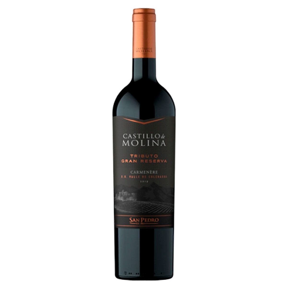 CASTILLO DE MOLINA - Vino Castillo De Molina Tributo Gran Reserva Carmenere 750cc