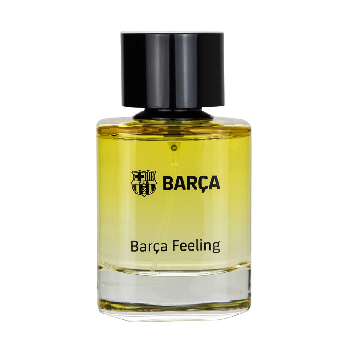 BARCA - Barca Feeling Eau De Parfum 100 ml Hombre BARCA