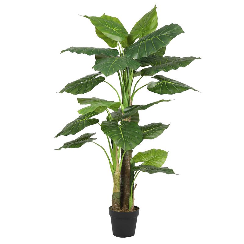 THE GREEN ELEMENT - Taro 135 CM
