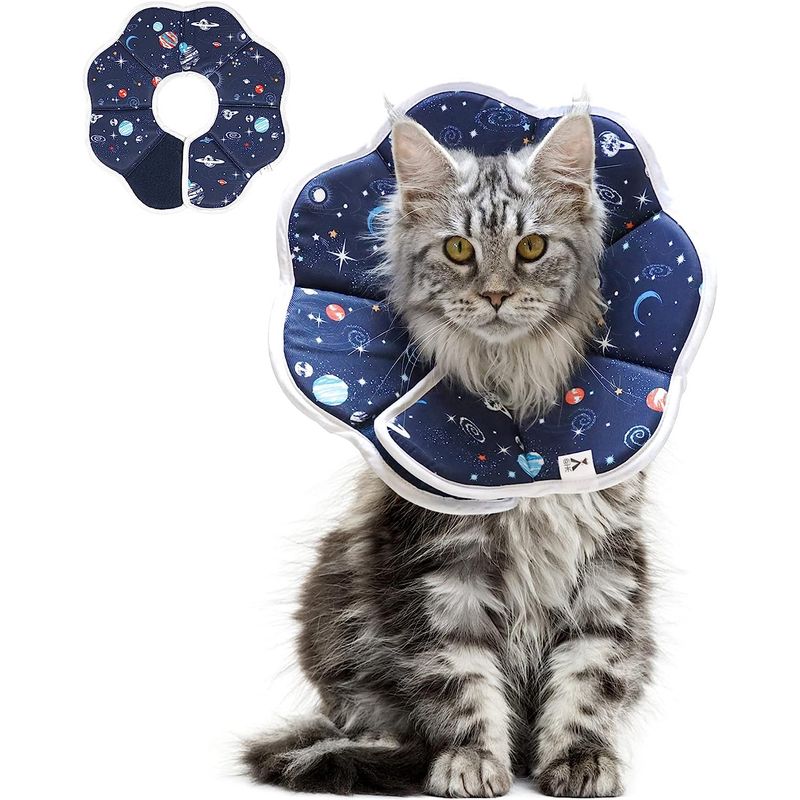 WELDMON - collar isabelinoCollar suave de recuperación para gatosM