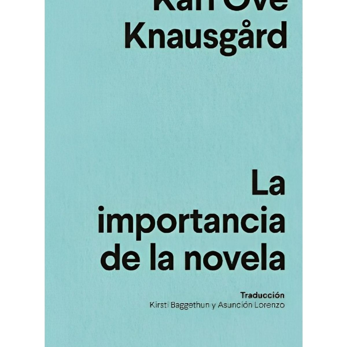 TOP10BOOKS - LIBRO La Importancia De La Novela - La Importancia De La Novela