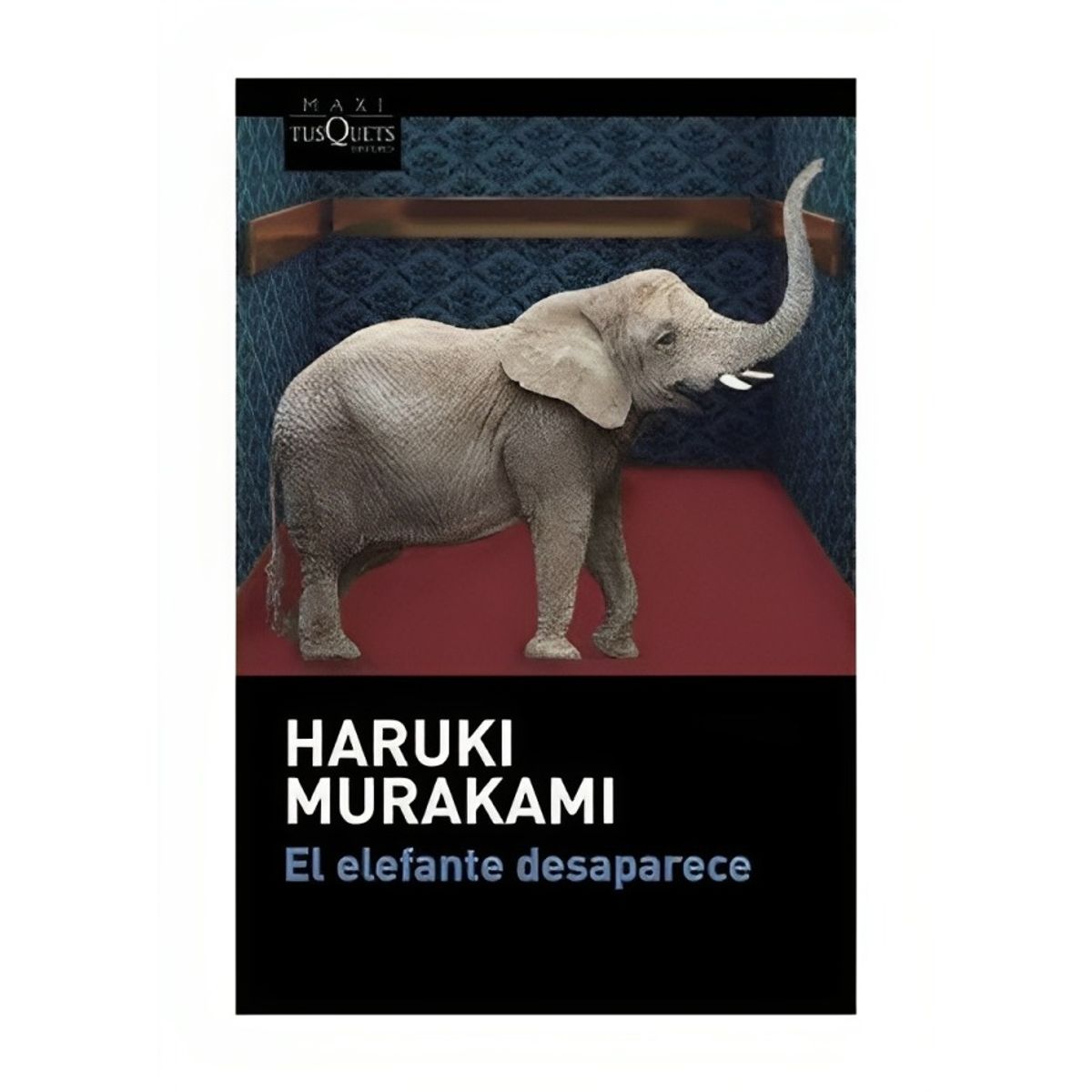TOP10BOOKS - LIBRO El Elefante Desaparece - El Elefante Desaparece