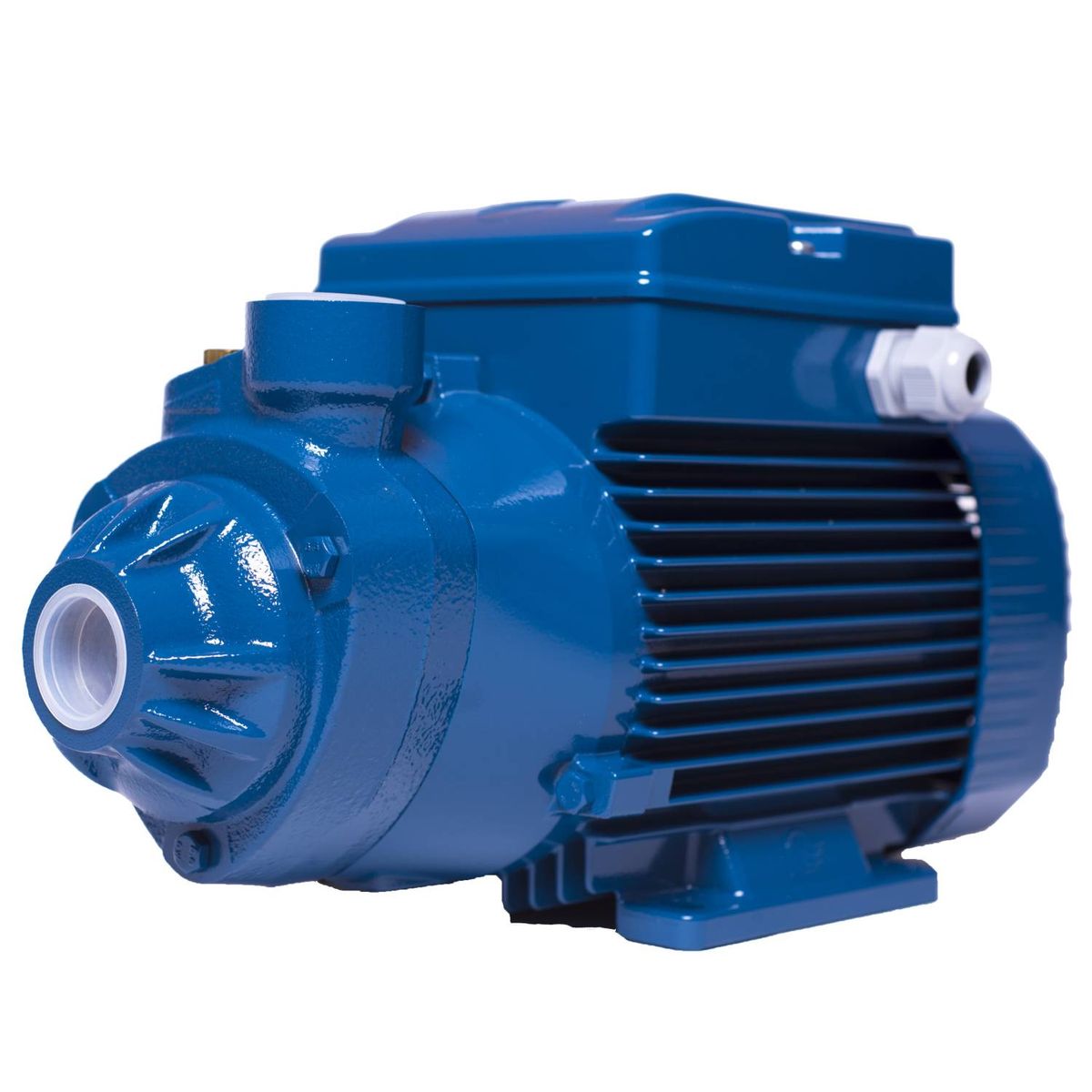 PEDROLLO - Bomba Periferica Marca Pedrollo  Pkm 100