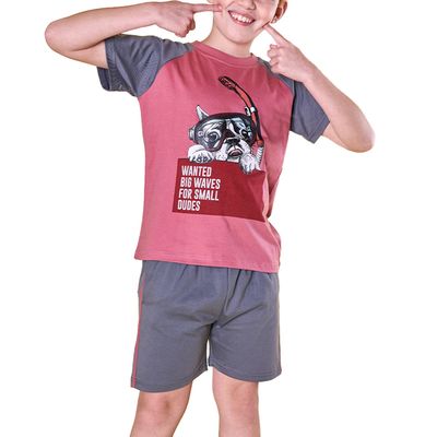 Imagen 2 del producto Pijama Corto Niño 7325