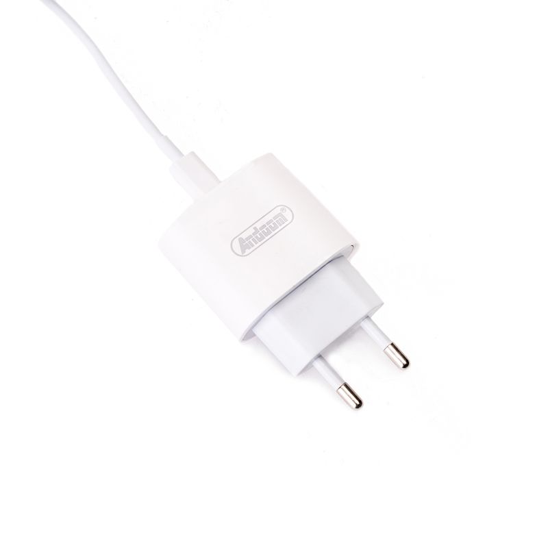 CHINITOWN - Cargador Tipo C - Lightning Chinitown