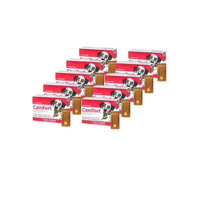 Imagen 2 del producto Antiparasitario Canifort 10 comprimidos