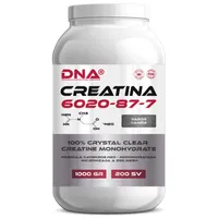 CREATINA DNA® - SABOR SANDÍA - POTE - 1KG