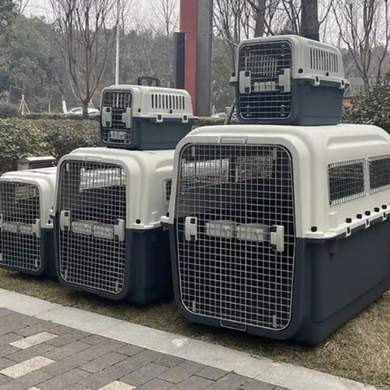 GENERICO - CAJA CANIL TRANSPORTADORA MASCOTAS XXL