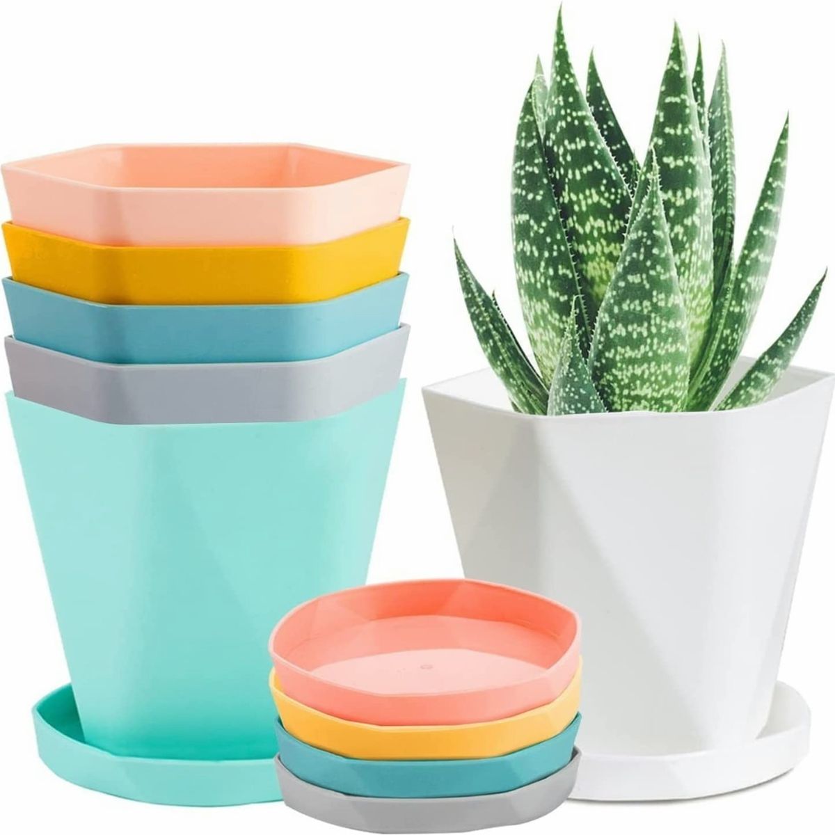 TNAKIEX - 6 Pcs Maceta Pequeña Moderna Minimalista P/interior/exterior