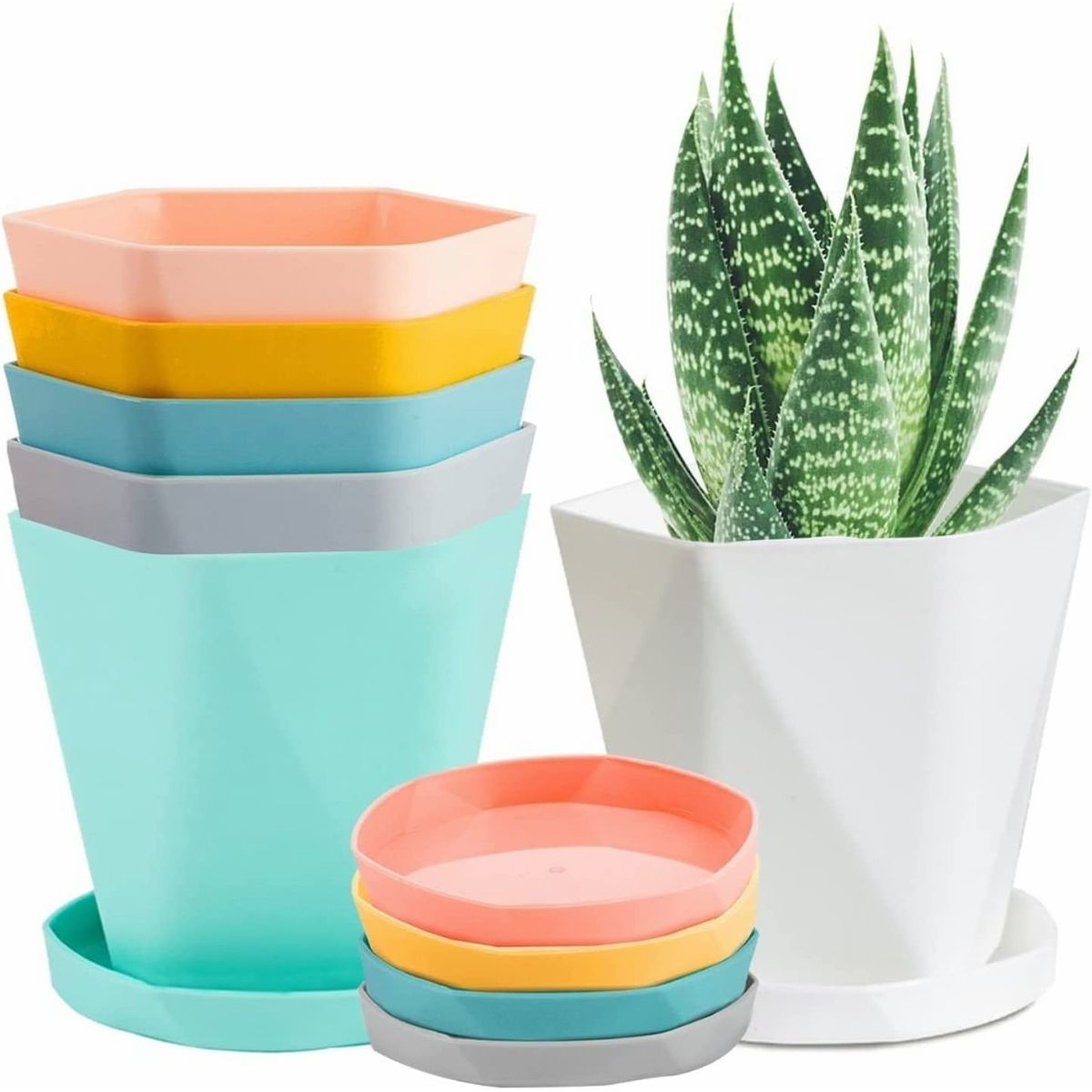 TNAKIEX - 6 Pcs Maceta Pequeña Moderna Minimalista P/interior/exterior