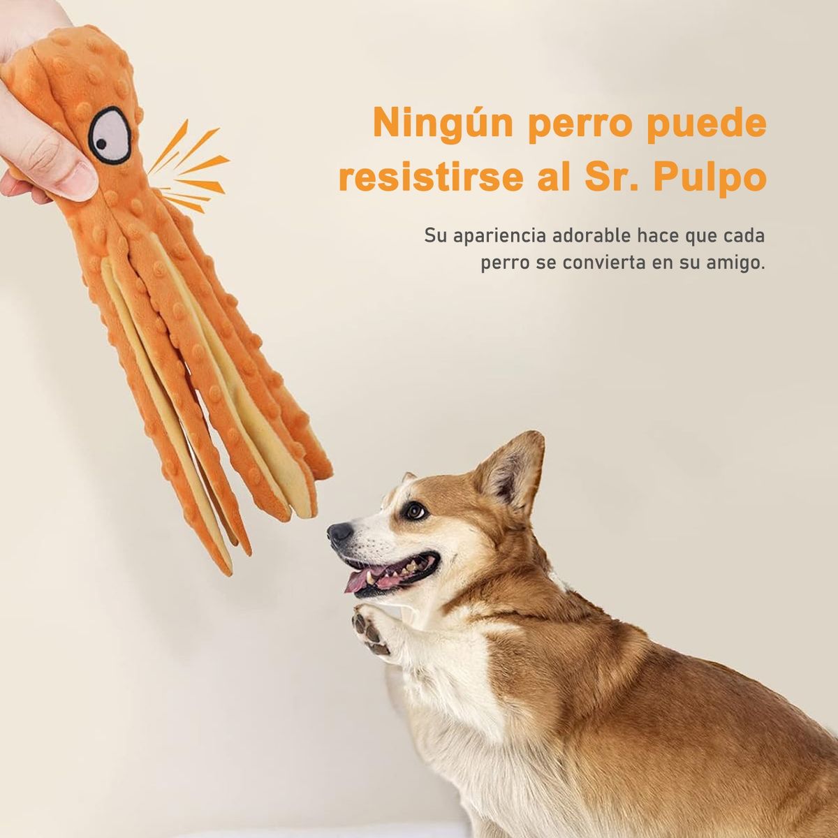 PAGANOOM - Juguetes para perros juguetes para hacer sonido sin relleno