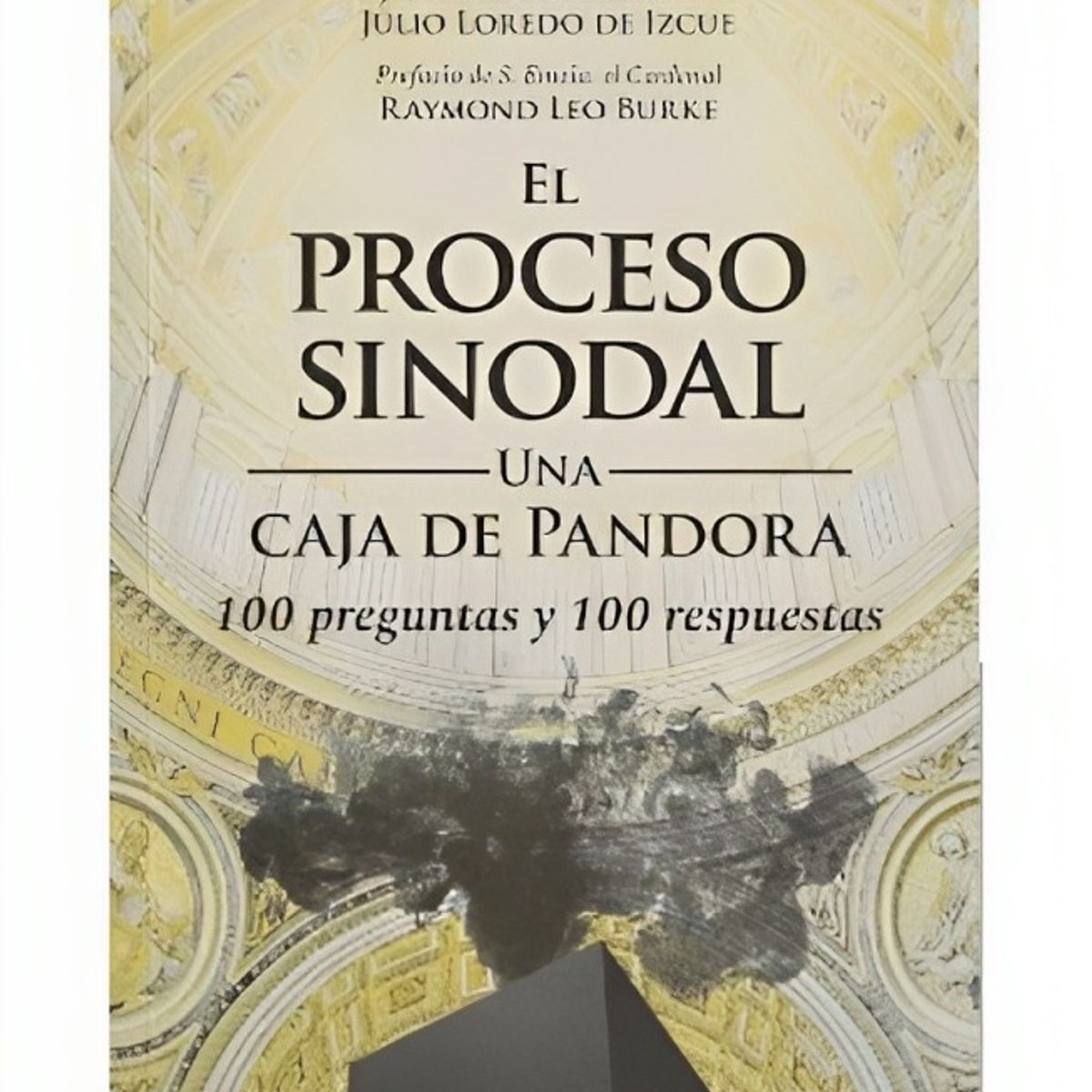 TOP10BOOKS - LIBRO El Proceso Sinodal. Una Caja De Pandora