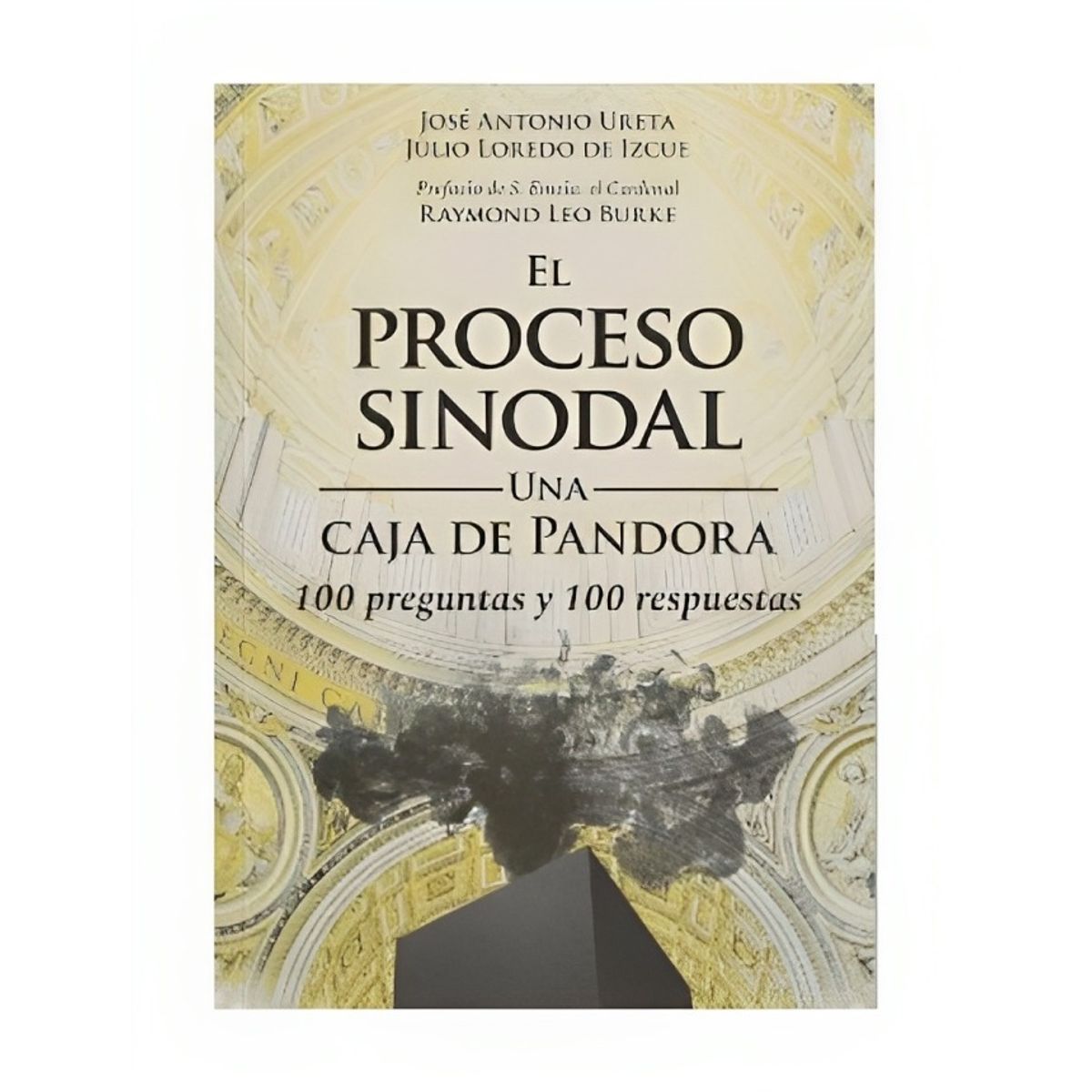 TOP10BOOKS - LIBRO El Proceso Sinodal. Una Caja De Pandora
