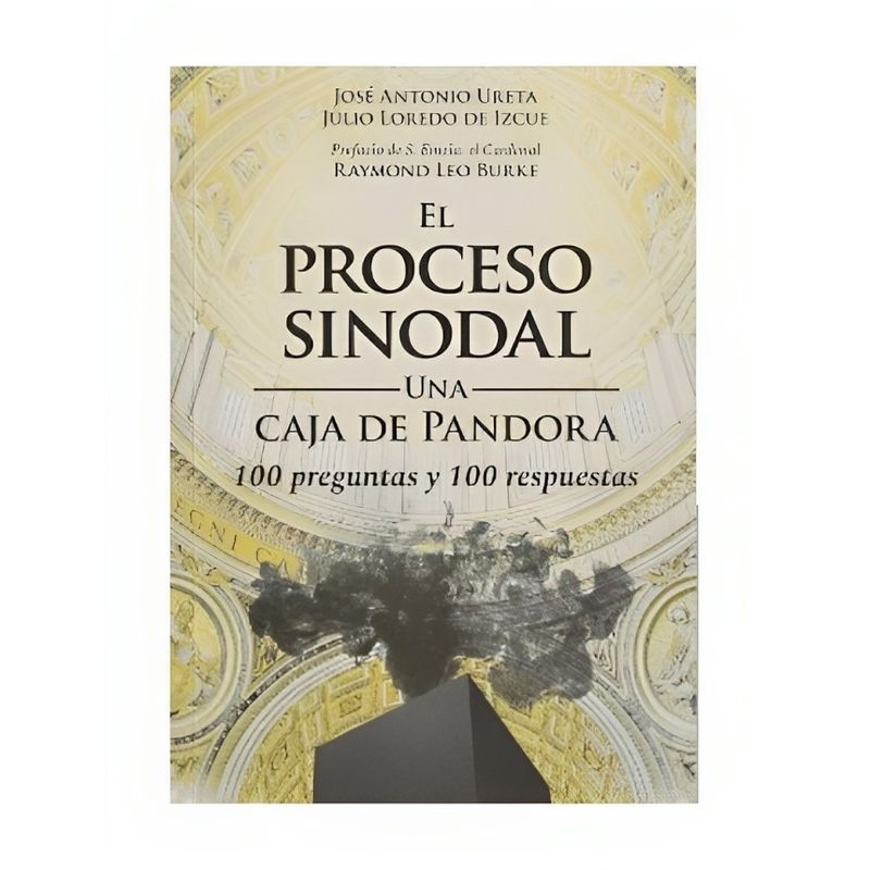 TOP10BOOKS - LIBRO EL PROCESO SINODAL. UNA CAJA DE PANDORA / JOSE ANTONIO URETA - JULIO LORE
