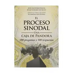 TOP10BOOKS - LIBRO El Proceso Sinodal. Una Caja De Pandora