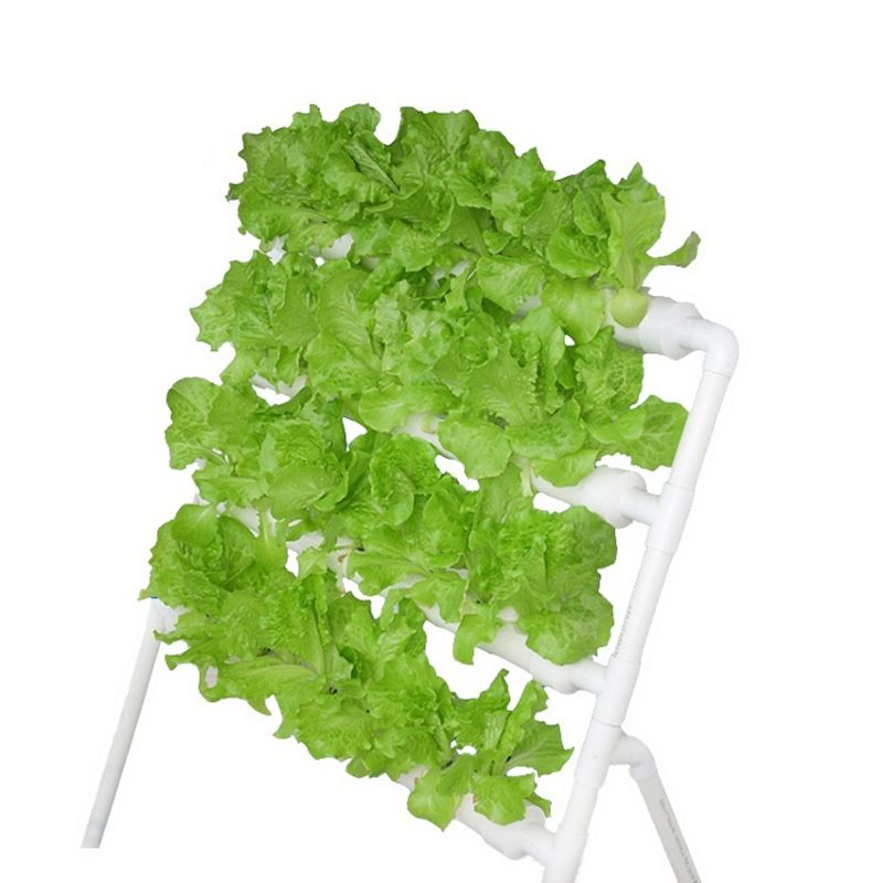 GENERICO - Cultivo Hidropónico para 36 Plantas.