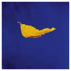 GENERICO - New Order - True Faith1963 - Vinilo Maxi Single