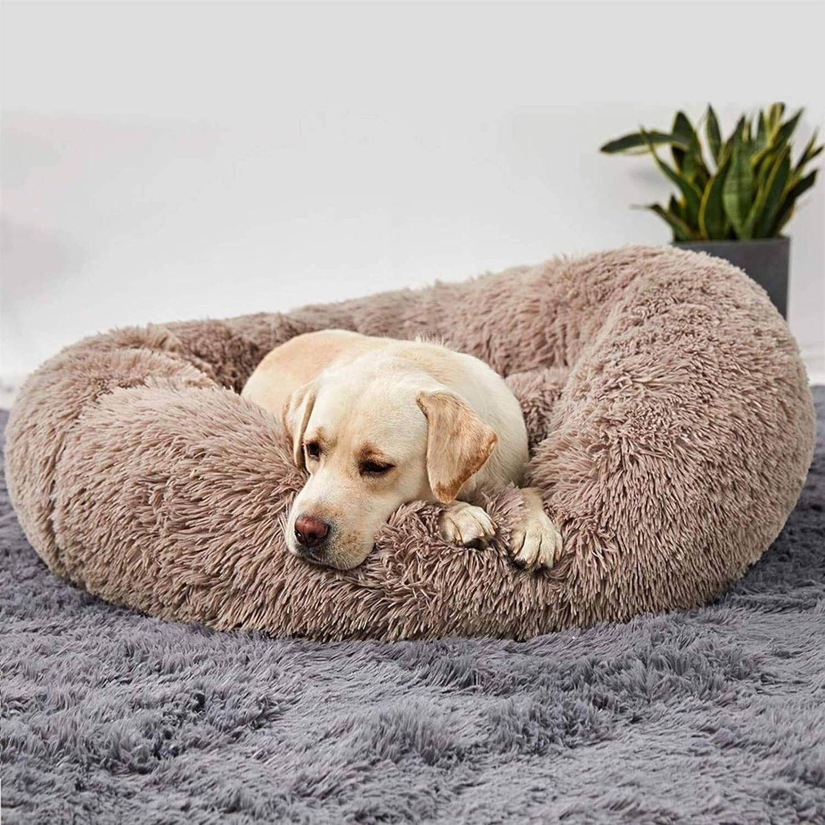 GENERICO - Cama para mascotas ultra suave 90 cm beige