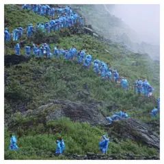 MILK - Courtney Barnett - End Of The Day - Vinilo Clear Milky