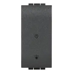 BTICINO - Enchufe Conectado Livinglight ANTRACIDA With Netatmo Homekit sin Hub