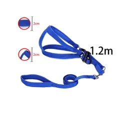 GENERICO - Correa Para Mascota Color Liso 2CM X 12M