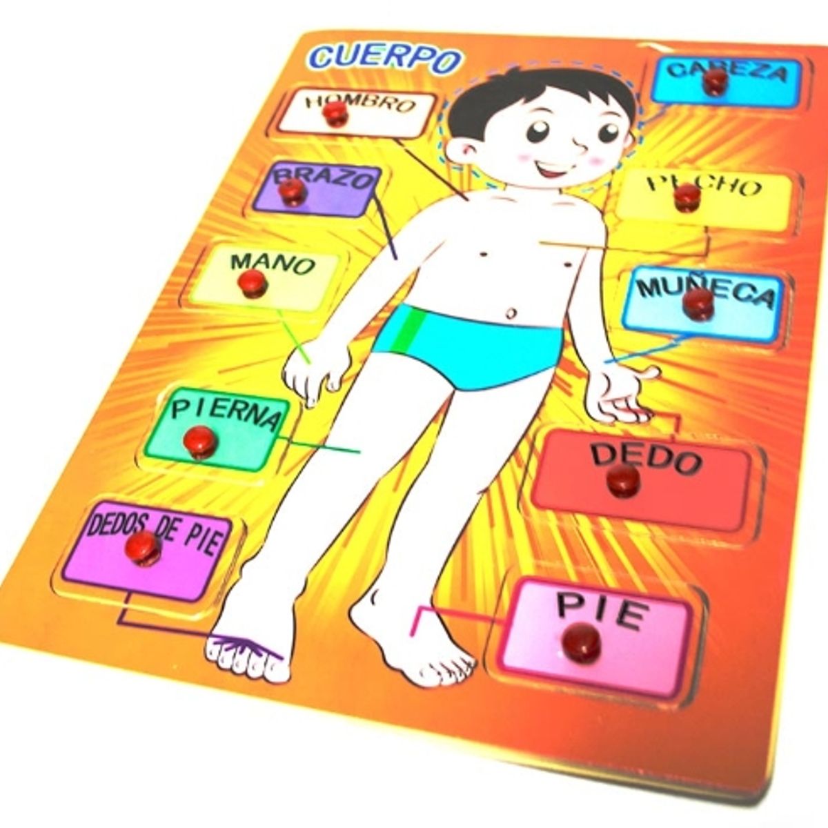 GENERICO - Tabla Cuerpo Juguete De Madera