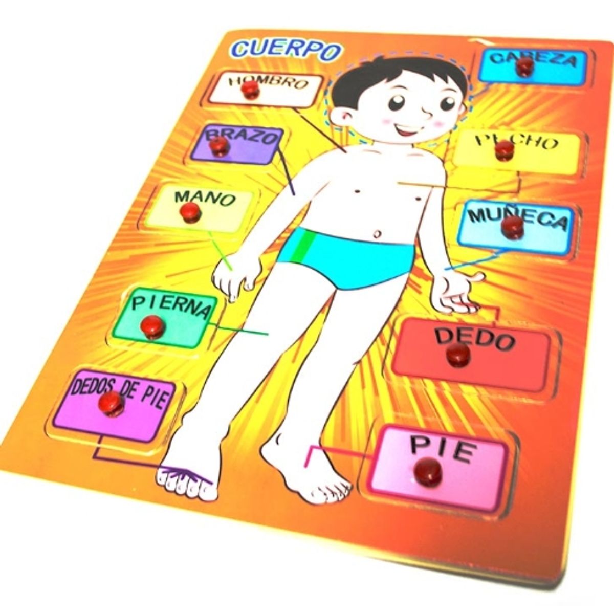 GENERICO - Tabla Cuerpo Juguete De Madera