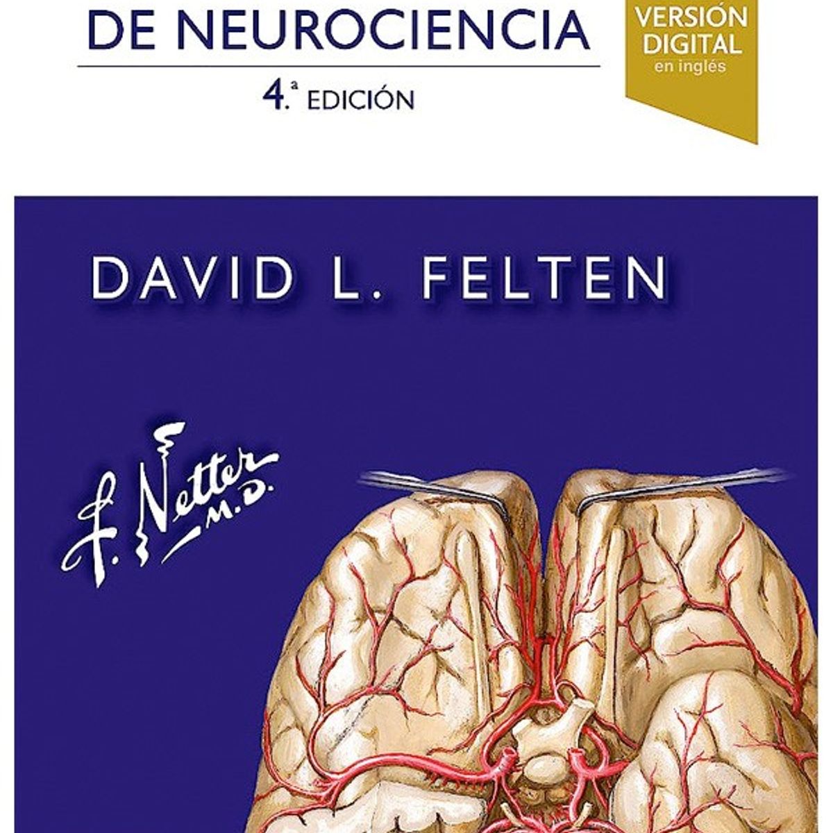 EDITORIAL MEDITERRANEO - Libro Netter. Flashcards De Neurociencia 4Ed.