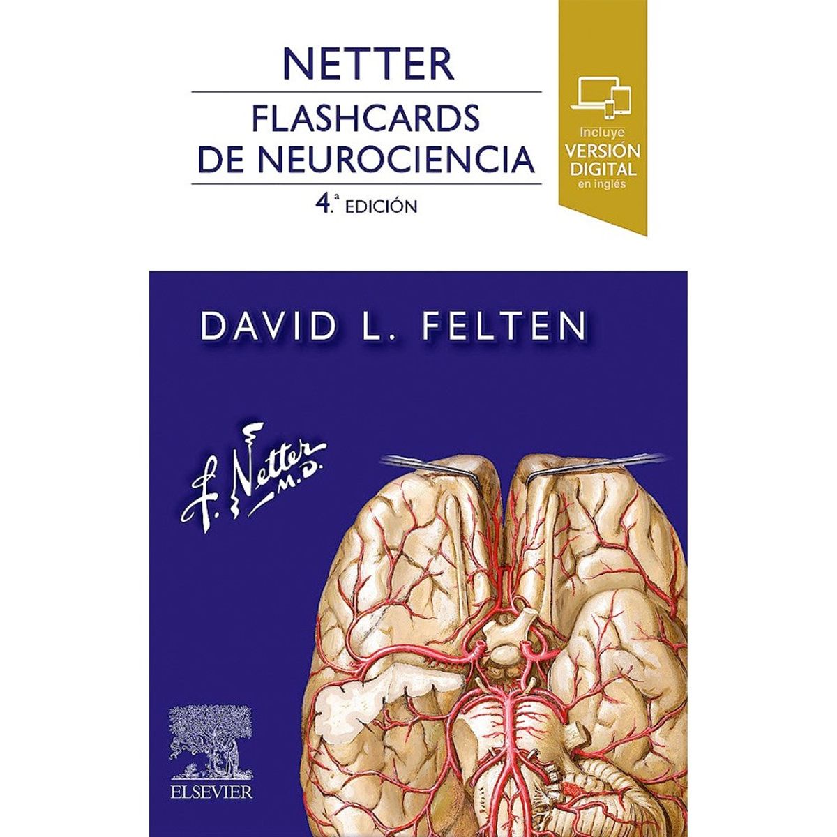 EDITORIAL MEDITERRANEO - Libro Netter. Flashcards De Neurociencia 4Ed.