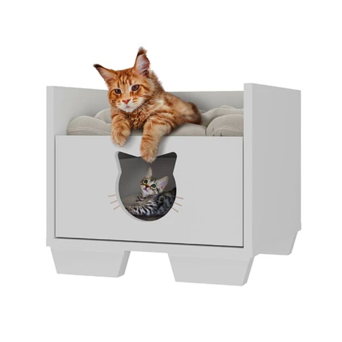 KIDSCOOL - CAMA CAJONERA PETS GATITOS BLANCA - 3865.0001
