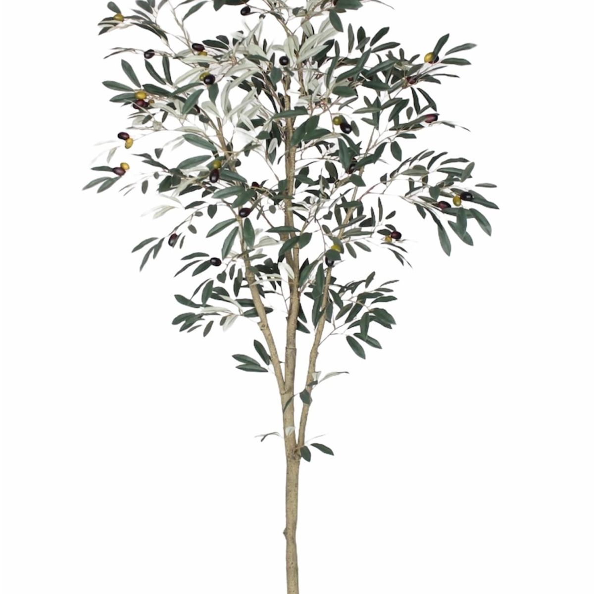 COREL - Árbol Olivo 180cm Artificial