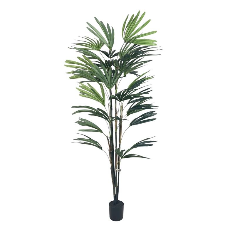 COREL - Palmera Raphis 150cm Artificial