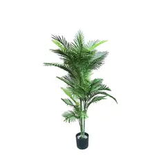 COREL - Planta Decorativa Palmera Robelini 150cm Con Filtro Uv