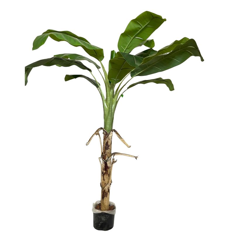 COREL - Arbol De Banano 175cm