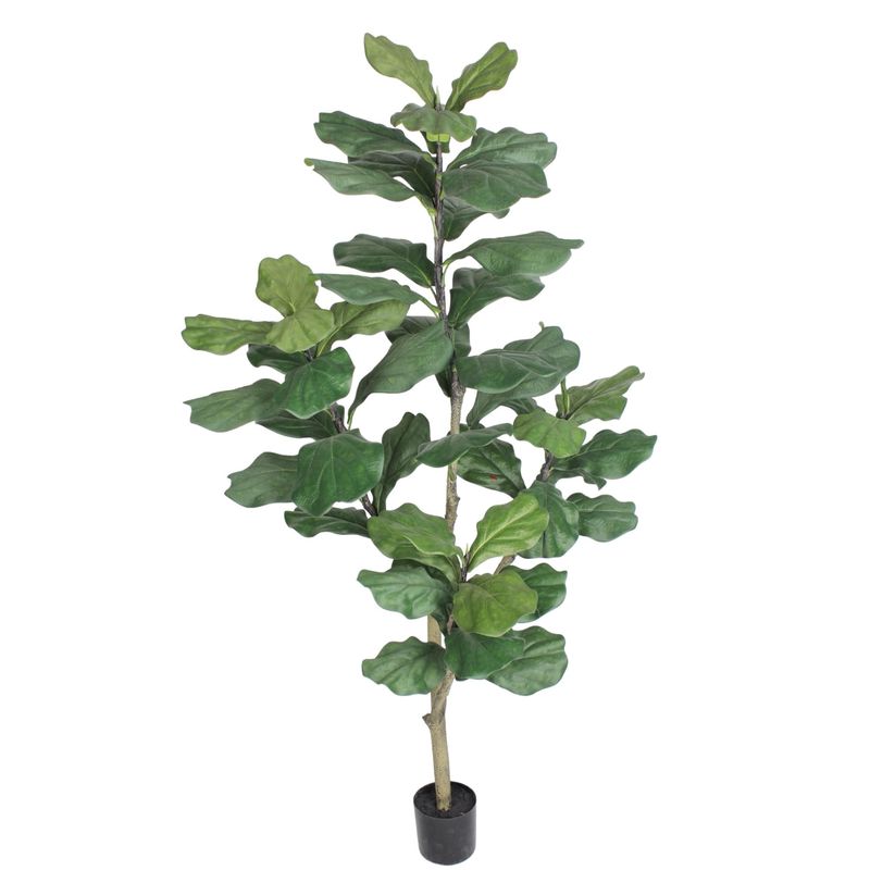 COREL - Árbol Ficus Lyrata 180cm Artificial