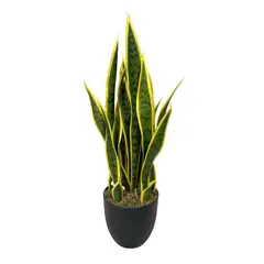 COREL - Sansevieria Verde - Amarilla 69cm Artificial