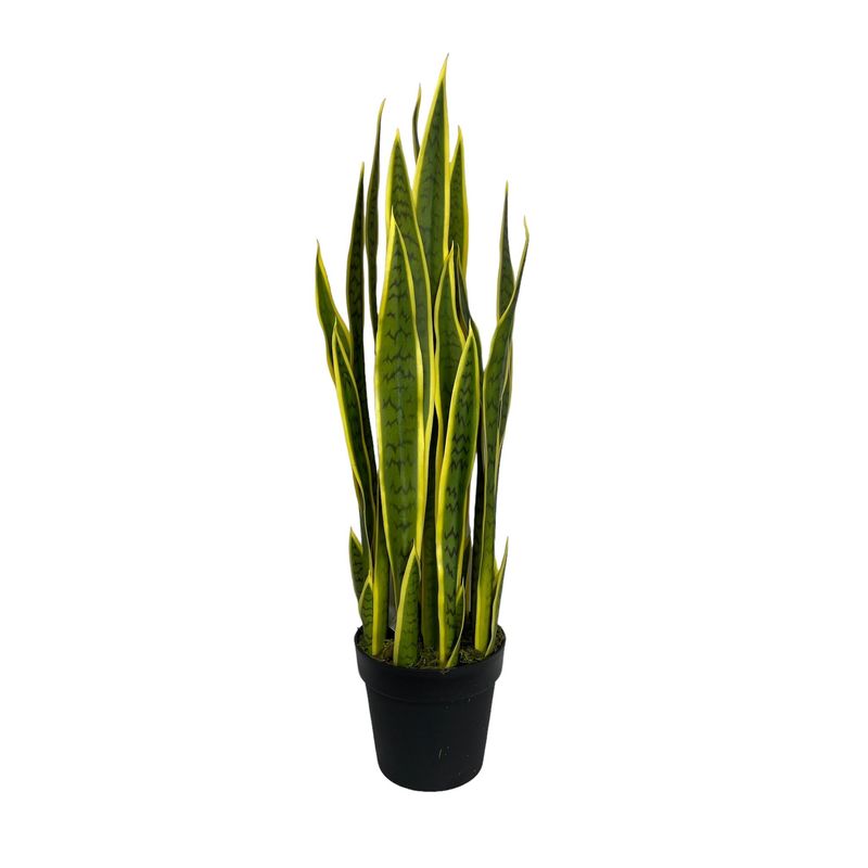 COREL - Planta Decorativa Sansevieria Verde - Amarilla 90cm