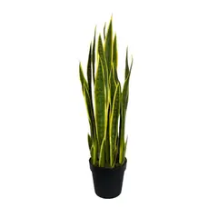COREL - Planta Decorativa Sansevieria Verde - Amarilla 90cm