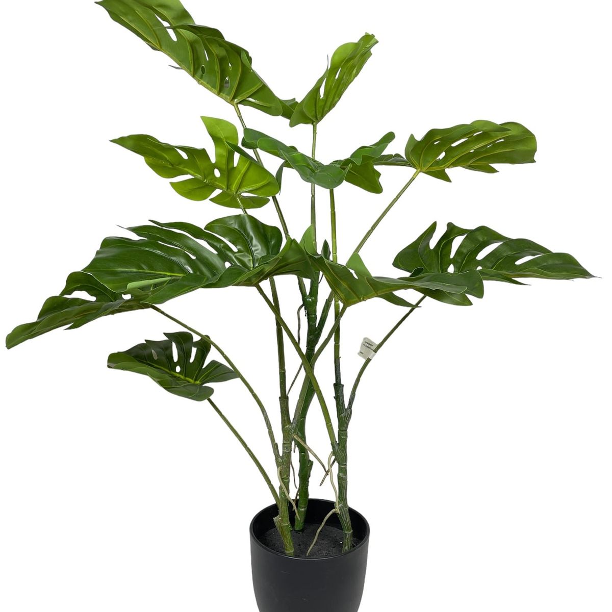 COREL - Planta Philodendro 89cm