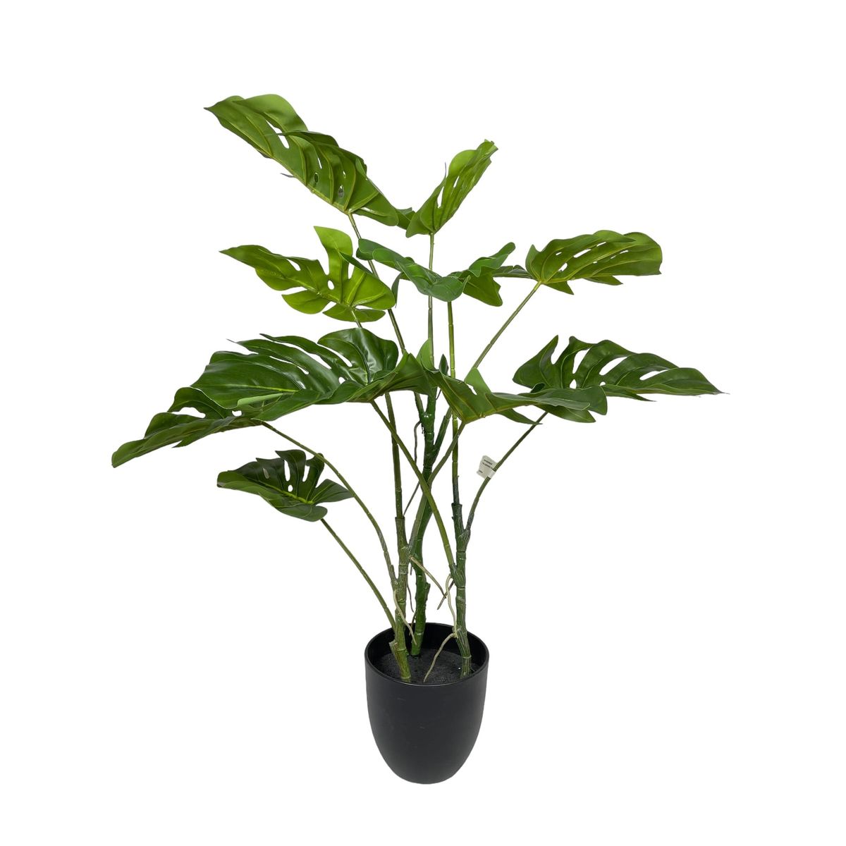 COREL - Planta Philodendro 89cm