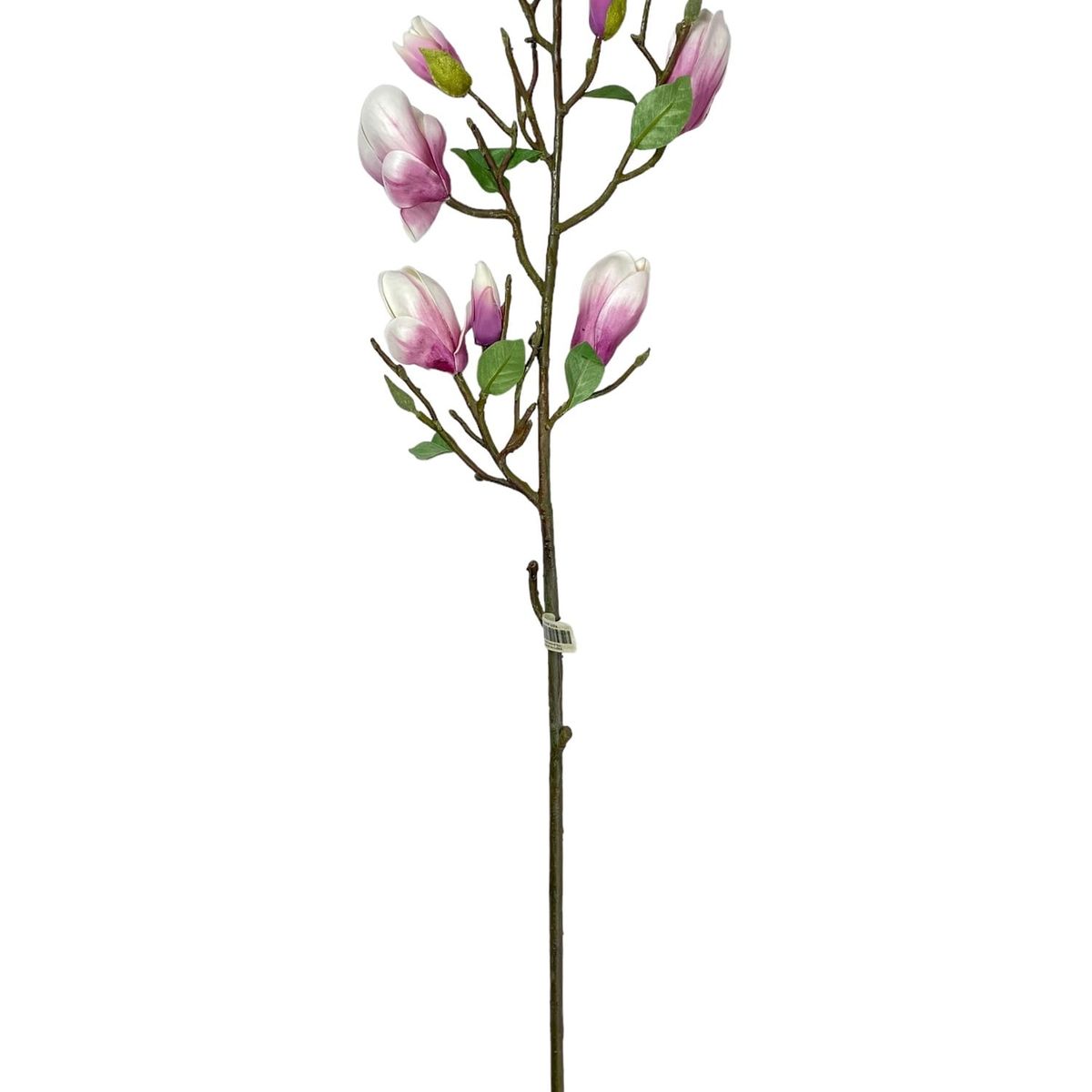 COREL - Magnolia Bud Stem Fuccia 84cm Con Acabado Natural